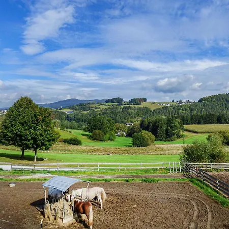Amazing In With Sauna Appartamento Viechtach